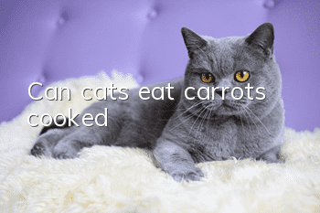 Can cats eat carrots, cooked?