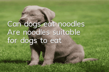 Can dogs eat noodles? Are noodles suitable for dogs to eat?