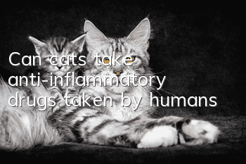 Can cats take anti-inflammatory drugs taken by humans?