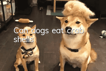 Can dogs eat crab shells?