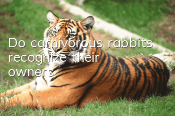 Do carnivorous rabbits recognize their owners?