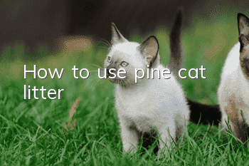 How to use pine cat litter