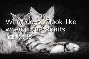 What does it look like when a cat vomits hairballs?