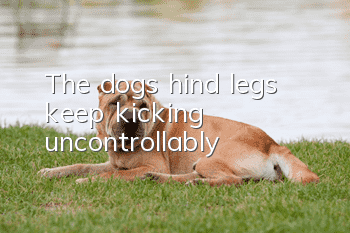 The dog’s hind legs keep kicking uncontrollably