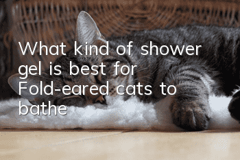 What kind of shower gel is best for Fold-eared cats to bathe?