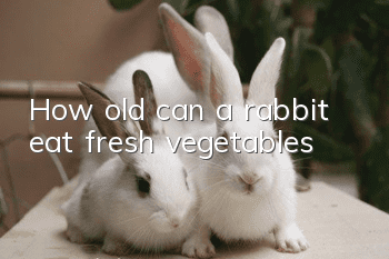 How old can a rabbit eat fresh vegetables?