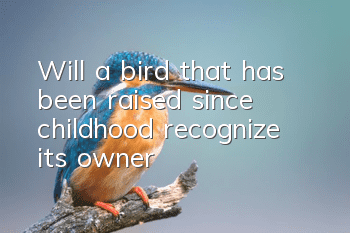 Will a bird that has been raised since childhood recognize its owner?