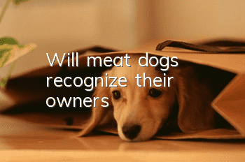 Will meat dogs recognize their owners?