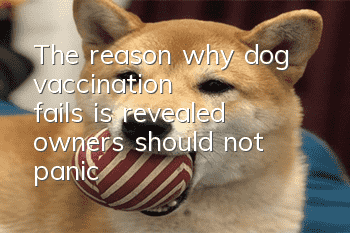 The reason why dog ​​vaccination fails is revealed, owners should not panic!