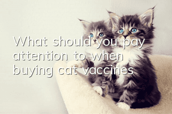 What should you pay attention to when buying cat vaccines?