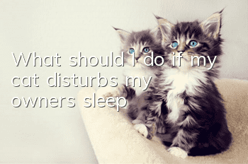 What should I do if my cat disturbs my owner’s sleep?