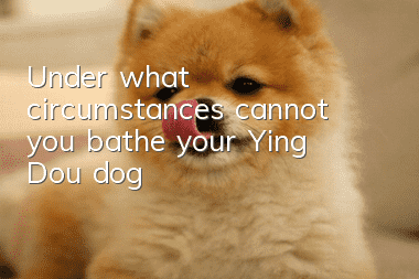 Under what circumstances cannot you bathe your Ying Dou dog?