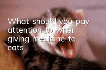 What should you pay attention to when giving medicine to cats?