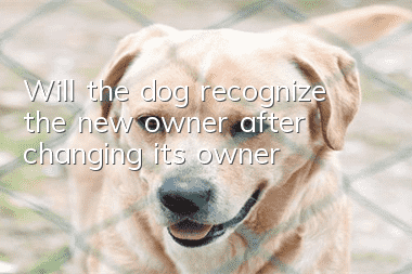 Will the dog recognize the new owner after changing its owner?