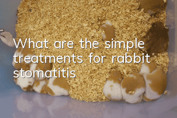 What are the simple treatments for rabbit stomatitis?