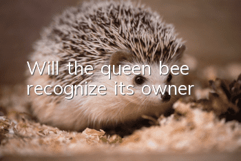 Will the queen bee recognize its owner?