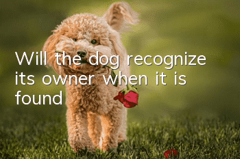 Will the dog recognize its owner when it is found?