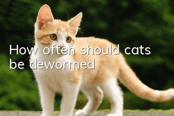 How often should cats be dewormed?