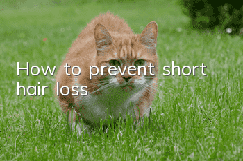 How to prevent short hair loss?