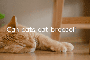 Can cats eat broccoli?