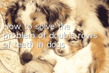 How to solve the problem of double rows of teeth in dogs