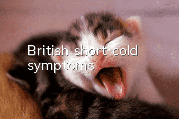 British short cold symptoms