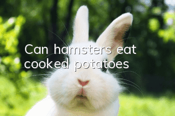 Can hamsters eat cooked potatoes?