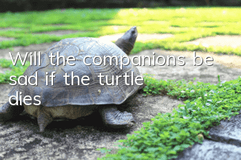 Will the companions be sad if the turtle dies?