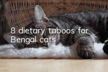 8 dietary taboos for Bengal cats