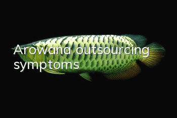 Arowana outsourcing symptoms