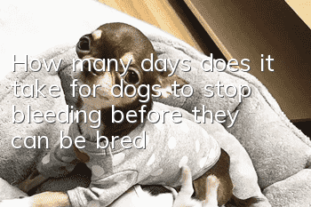 How many days does it take for dogs to stop bleeding before they can be bred?