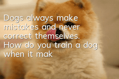 Dogs always make mistakes and never correct themselves. How do you train a dog when it makes mistakes?