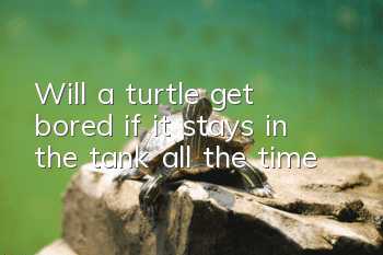 Will a turtle get bored if it stays in the tank all the time?