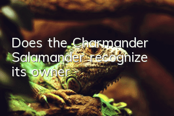 Does the Charmander Salamander recognize its owner?