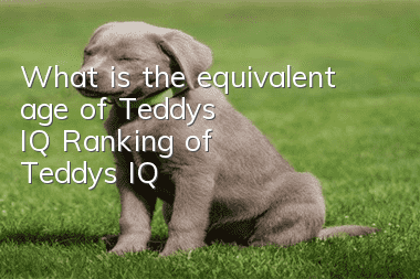 What is the equivalent age of Teddy's IQ? Ranking of Teddy's IQ!