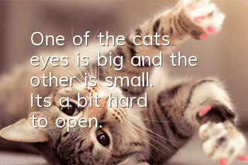 One of the cat's eyes is big and the other is small. It's a bit hard to open.