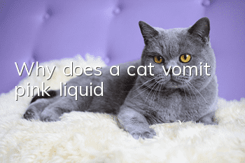 Why does a cat vomit pink liquid?