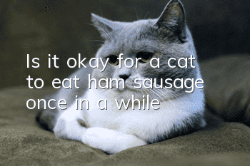 Is it okay for a cat to eat ham sausage once in a while?