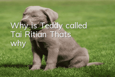 Why is Teddy called Tai Ritian? That’s why!