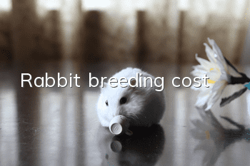 Rabbit breeding cost