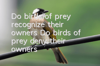 Do birds of prey recognize their owners? Do birds of prey deny their owners?