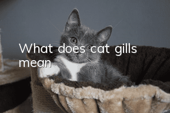 What does cat gills mean?