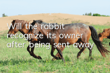 Will the rabbit recognize its owner after being sent away?