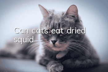 Can cats eat dried squid?