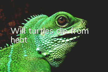 Will turtles die from heat?