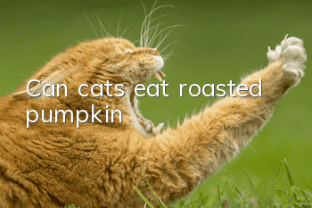 Can cats eat roasted pumpkin?