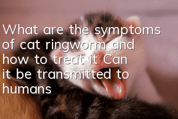 What are the symptoms of cat ringworm and how to treat it? Can it be transmitted to humans?