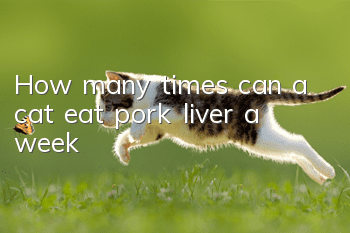 How many times can a cat eat pork liver a week?