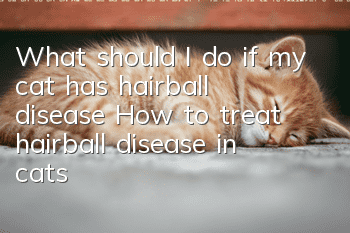 What should I do if my cat has hairball disease? How to treat hairball disease in cats?