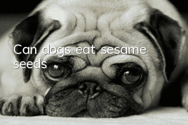 Can dogs eat sesame seeds?